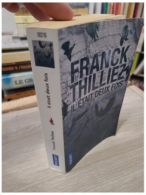 Il était deux fois... - Franck Thilliez