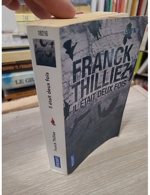 Il était deux fois... - Franck Thilliez