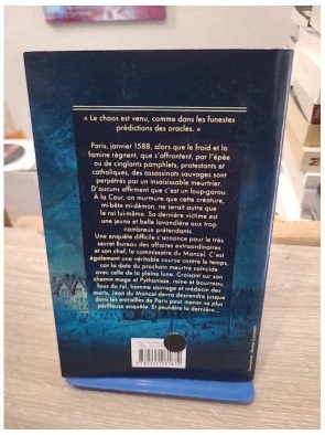 La dernière enquête du bureau des affaires extraordinaires – Viviane Moore