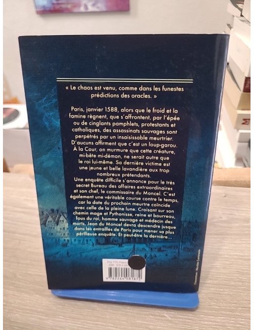 La dernière enquête du bureau des affaires extraordinaires – Viviane Moore