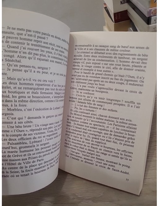 La dernière enquête du bureau des affaires extraordinaires – Viviane Moore