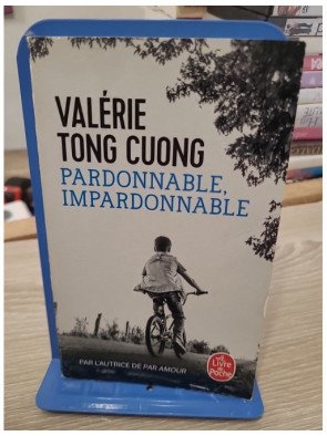 Pardonnable, impardonnable – Valérie Tong Cuong