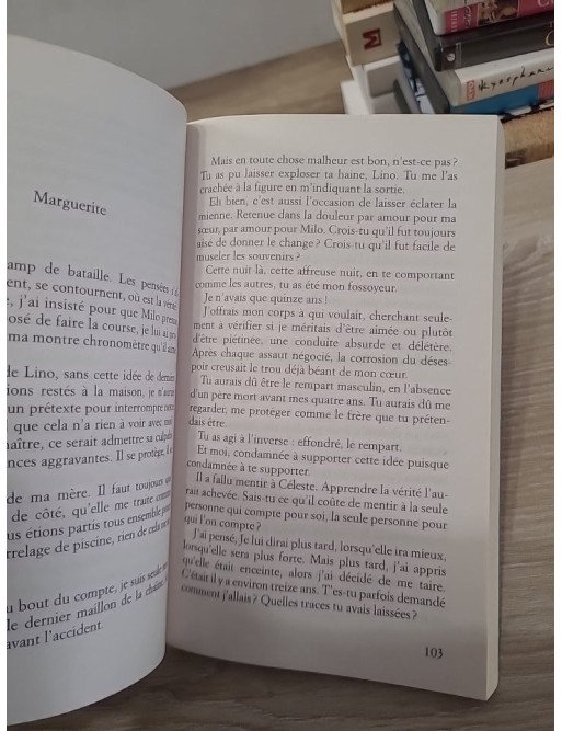 Pardonnable, impardonnable – Valérie Tong Cuong