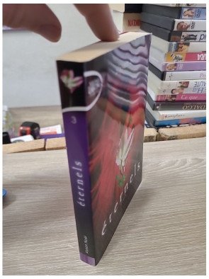 Eternels tome 3 – Le pays des ombres – Alyson Noël