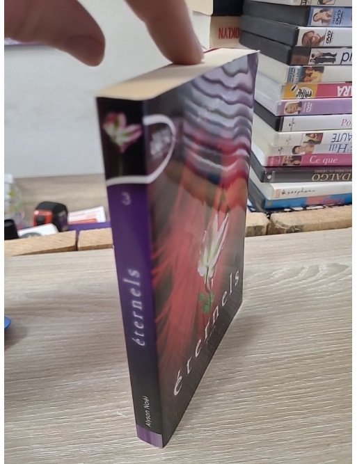 Eternels tome 3 – Le pays des ombres – Alyson Noël