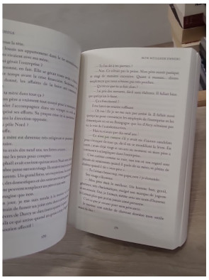 Les Frères Darcy – L'intégrale