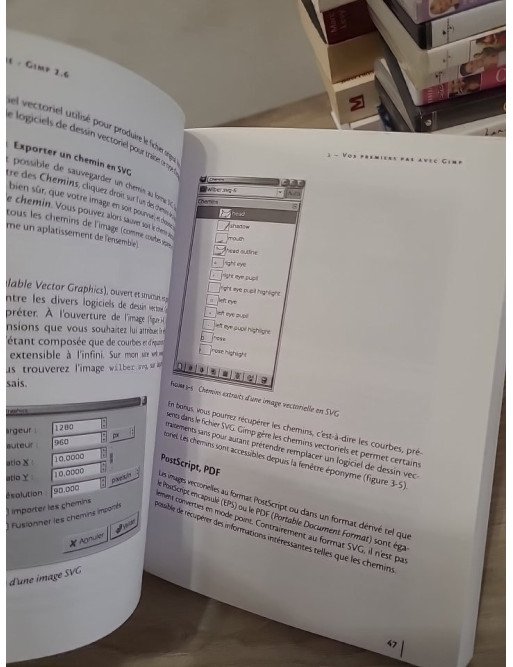 Gimp 2.6 - Débuter en retouche photo et graphisme libre - Dimitri Robert