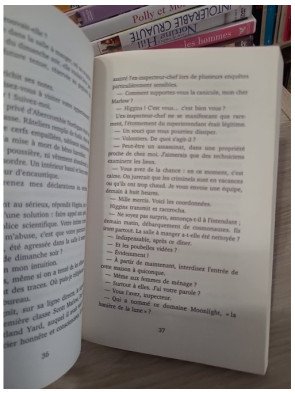 Les enquêtes de l'inspecteur Higgins - Tome 40 Le crime d'une nuit d'été - Christian Jacq