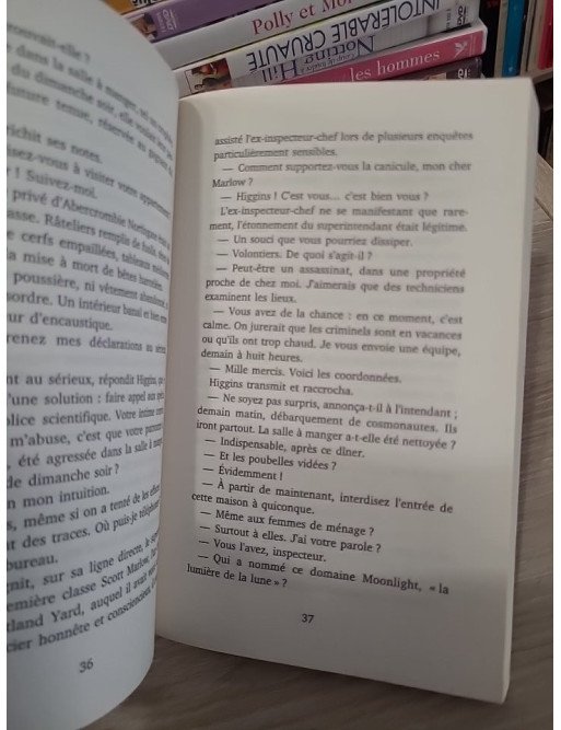 Les enquêtes de l'inspecteur Higgins - Tome 40 Le crime d'une nuit d'été - Christian Jacq