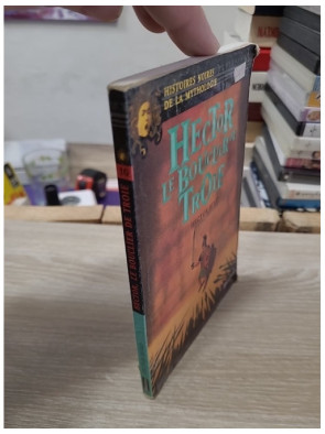 Hector, le bouclier de Troie - Hector Hugo