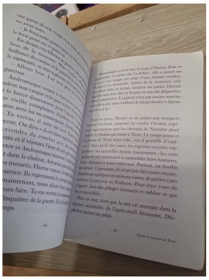 Hector, le bouclier de Troie - Hector Hugo