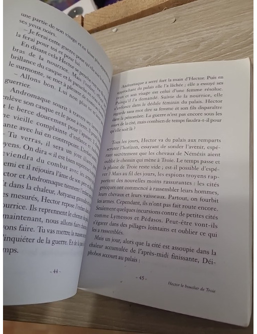 Hector, le bouclier de Troie - Hector Hugo