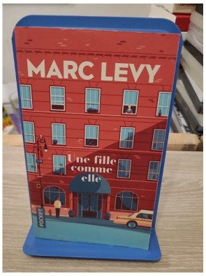 Une fille comme elle – Marc Levy