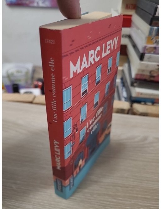 Une fille comme elle – Marc Levy