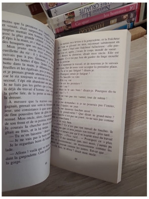 L'Enfant noir – Camara Laye