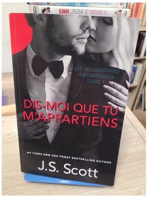 Dis-moi que tu m’appartiens – Les Milliardaires britanniques