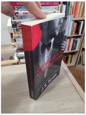 Dis-moi que tu m’appartiens – Les Milliardaires britanniques