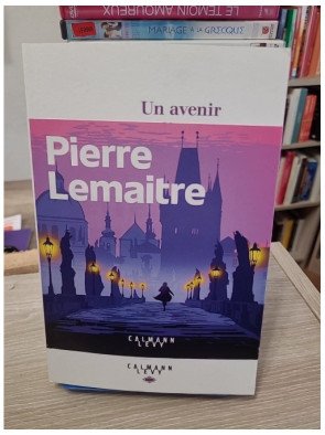 Un avenir radieux – Pierre Lemaitre
