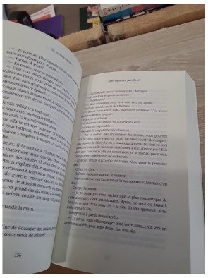 Un avenir radieux – Pierre Lemaitre