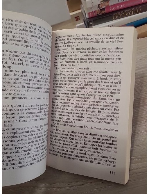 Ils ont vu l'au-delà - Soixante histoires vraies et pourtant incroyables – Pierre Bellemare, Jean-Marc Épinoux
