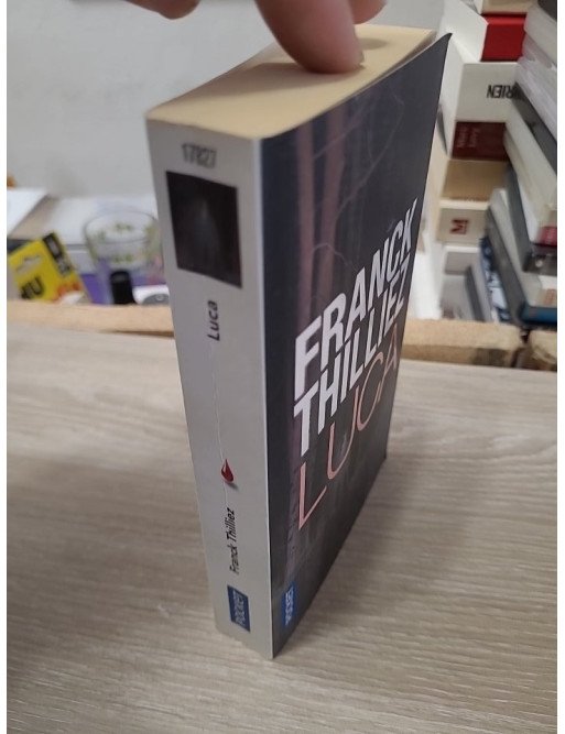 Luca - Franck Thilliez