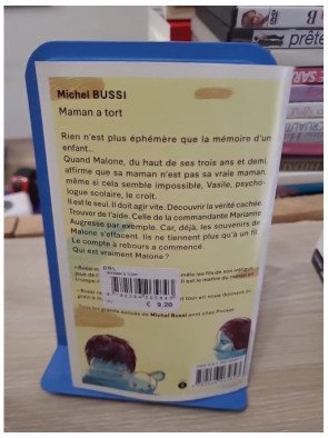 Maman a tort – Michel Bussi