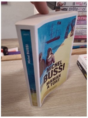 Maman a tort – Michel Bussi