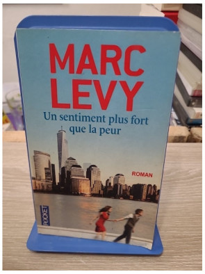 Un sentiment plus fort que la peur – Marc Levy