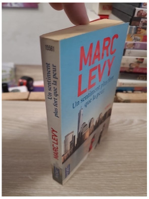 Un sentiment plus fort que la peur – Marc Levy