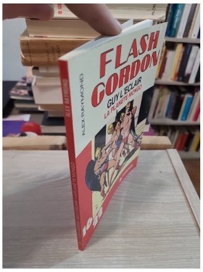 Flash Gordon - Guy l'Éclair : La Planète Mongo – Alex Raymond