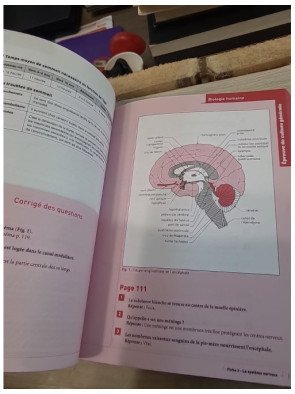 Concours d'entrée Auxiliaire de puériculture – Christophe Ragot