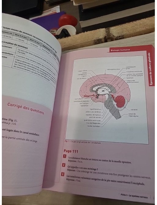 Concours d'entrée Auxiliaire de puériculture – Christophe Ragot