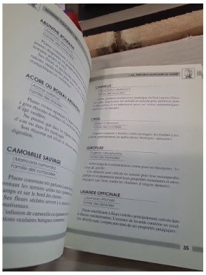 Soignez-vous avec l'ail – Olivier Laurent