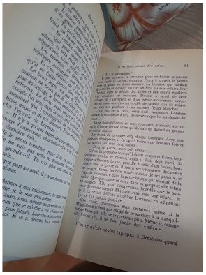 La Florentine – Intégrale en 4 tomes – Juliette Benzoni