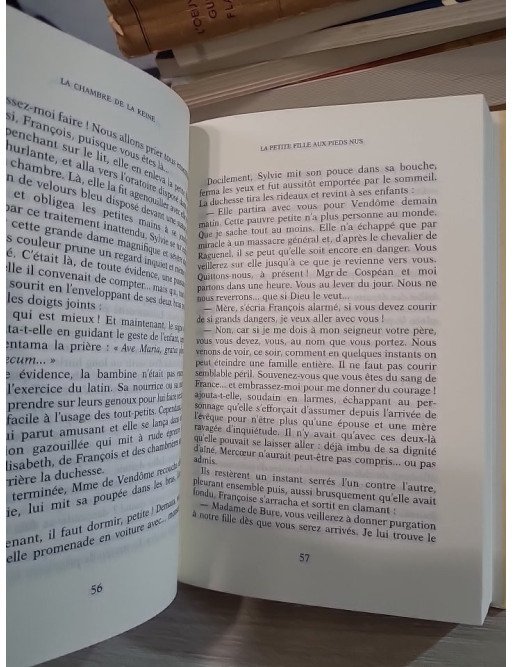 La Chambre de la reine – Juliette Benzoni