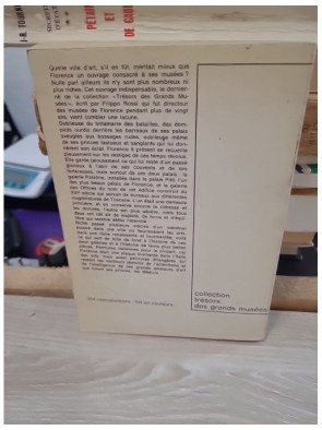Musées de Florence : Galerie des Offices, Palais Pitti - Filippo Rossi