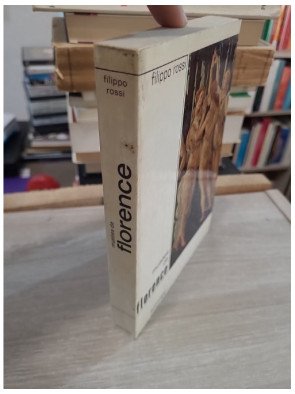 Musées de Florence : Galerie des Offices, Palais Pitti - Filippo Rossi