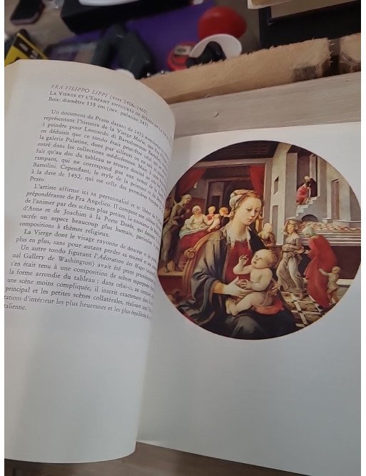 Musées de Florence : Galerie des Offices, Palais Pitti - Filippo Rossi