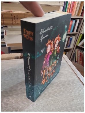 Fairy Oak Tome 1 - Le Secret des Jumelles - Elisabetta Gnone