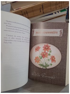 Fairy Oak Tome 1 - Le Secret des Jumelles - Elisabetta Gnone