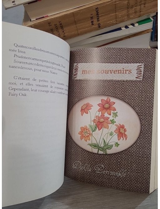 Fairy Oak Tome 1 - Le Secret des Jumelles - Elisabetta Gnone