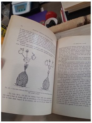 M. Tompkins s'explore lui-même : Aventures biologiques - George Gamow