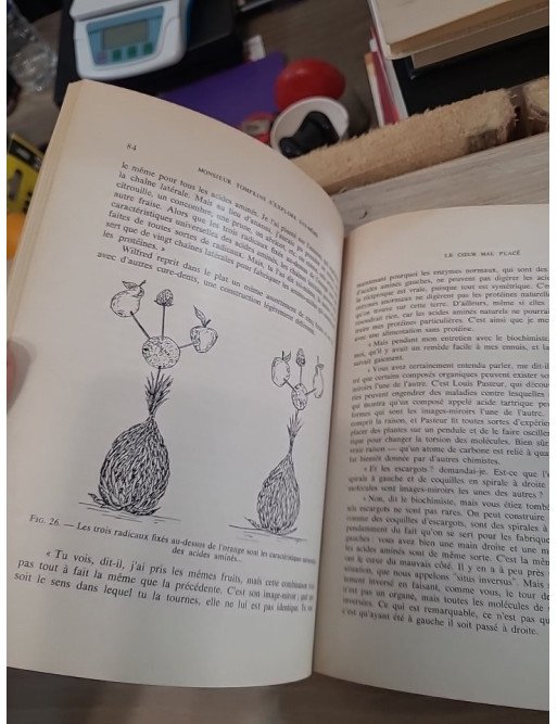 M. Tompkins s'explore lui-même : Aventures biologiques - George Gamow