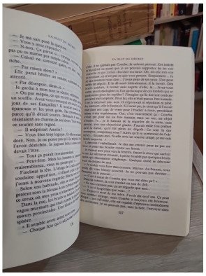 La Nuit du Décret – Michel Del Castillo