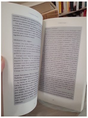 Ce que le bouddhisme peut apporter aux managers – Dalaï Lama, Laurens van den Muyzenberg