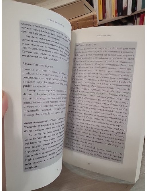 Ce que le bouddhisme peut apporter aux managers – Dalaï Lama, Laurens van den Muyzenberg