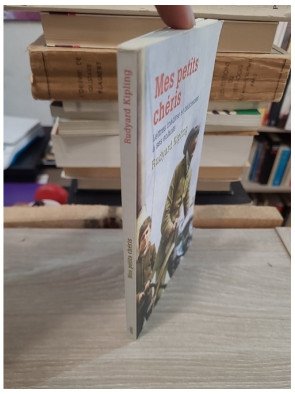 Mes Petits Chéris – Lettres inédites et délicieuses à ses enfants