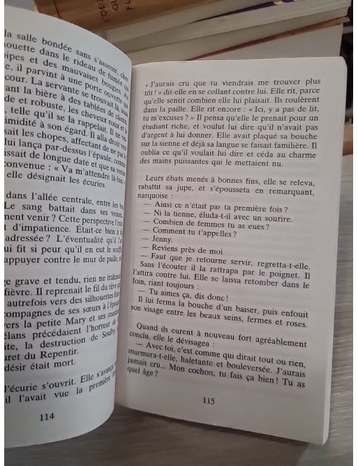 Le Voleur d'éternité – La vie aventureuse de William Petty, érudit, esthète et brigand