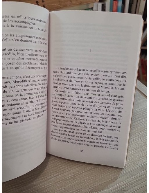 Les Voisins – Danielle Steel