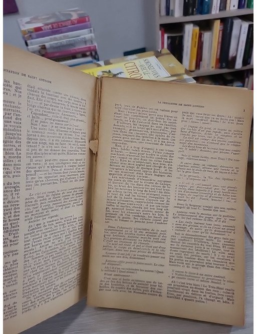 L'œuvre de Flaubert